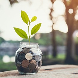 Jar full of coins with a small plant growing out of it